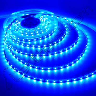 Noas YL35-2803 5 Metre İç Mekan Tek Çipli Mavi Işık Şerit Led