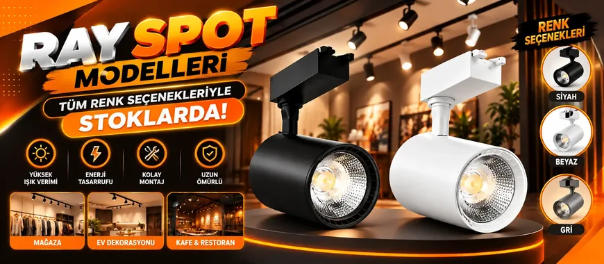 RAY SPOT MODELLERİ