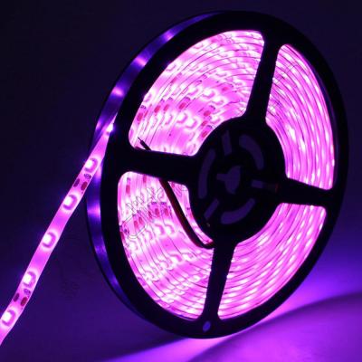 12.5 Amper Trafo + 3 Çipli Pembe İç Mekan Şerit Led 10 Metre Rulo Set