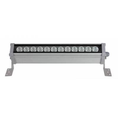 12x1 Watt 35 Cm Edison Ledli Wallwasher