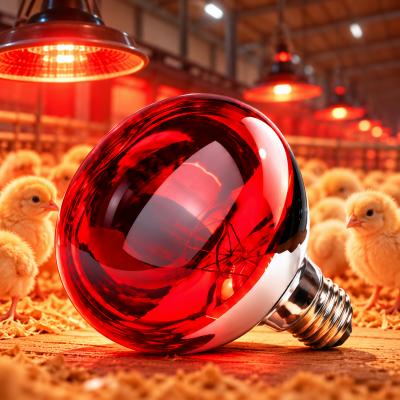 250W Kırmızı Infrared Isıtıcı Ampul - Çiftlik Ampulü