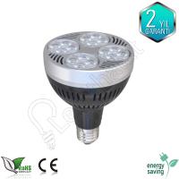 35 watt Par30 led ampul
