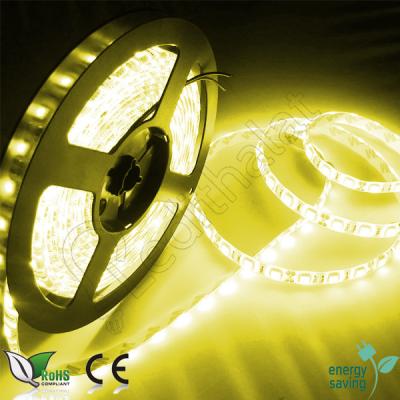 3528 Tek Çip Günışığı Şerit Led