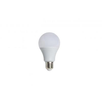 Cata CT-4267 10W Led Ampul