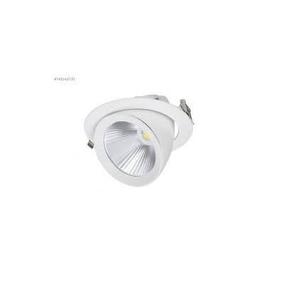 Erk 30 Watt Salyangoz Armatür ERK3157