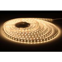 NOAS 4040 Led Şerit - IP20