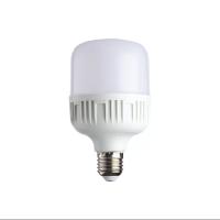 Noas YL-95-2001 20W Torch SMD Led Ampul