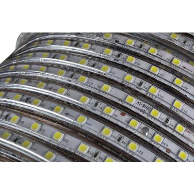 Noas YL41-4001 Beyaz Hortum Led 4040 - 5 metre