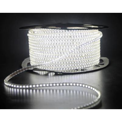 Noas YL56-3001 5m 12V İç Mekan Şerit Led - beyaz