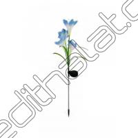 Forlife FL-3208 Rgb 4W Klivya Solar Kazıklı Çiçek Çim Armatürü