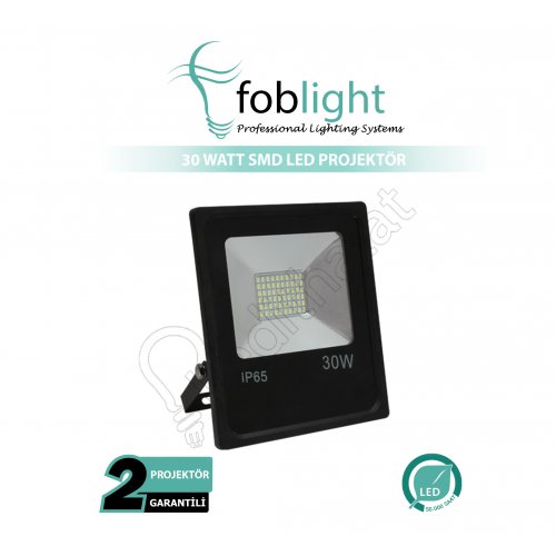 30 Watt Smd Led Projektör Gün Işığı